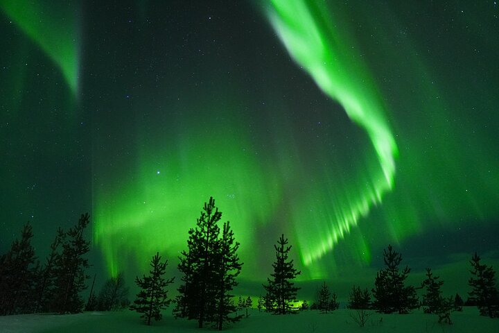 Experimente a magia da Aurora Boreal em uma caça guiada em Rovaniemi, Finlândia, com fotografia profissional, foto 21 | wizardtrip