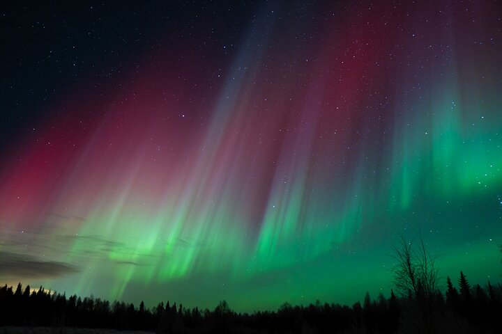 Experimente a magia da Aurora Boreal em uma caça guiada em Rovaniemi, Finlândia, com fotografia profissional, foto 24 | wizardtrip