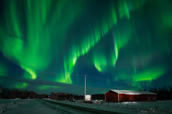 Experimente a magia da Aurora Boreal em uma caça guiada em Rovaniemi, Finlândia, com fotografia profissional, foto 29 | wizardtrip