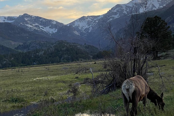 Naturskjønn tur i Rocky Mountain nasjonalpark i en varebil med glasstak, foto 11 | wizardtrip