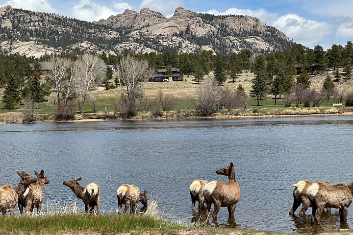 Naturskjønn tur i Rocky Mountain nasjonalpark i en varebil med glasstak, foto 18 | wizardtrip