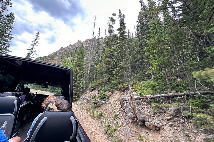 Naturskjønn tur i Rocky Mountain nasjonalpark i en varebil med glasstak, foto 27 | wizardtrip