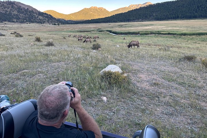 Naturskjønn tur i Rocky Mountain nasjonalpark i en varebil med glasstak, foto 40 | wizardtrip