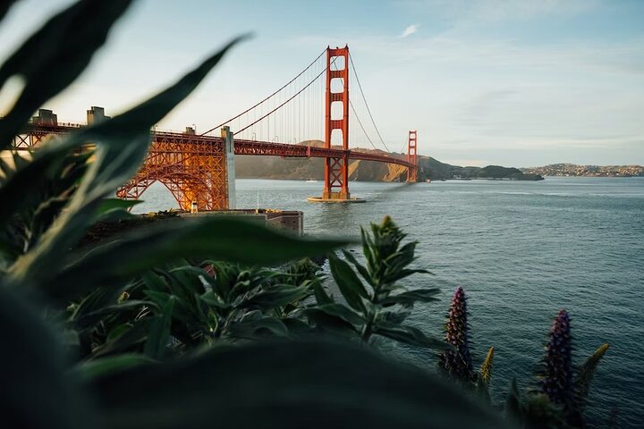 Utforska Alcatraz Island och San Franciscos ikoniska landmärken på denna omfattande tur, foto 6 | wizardtrip