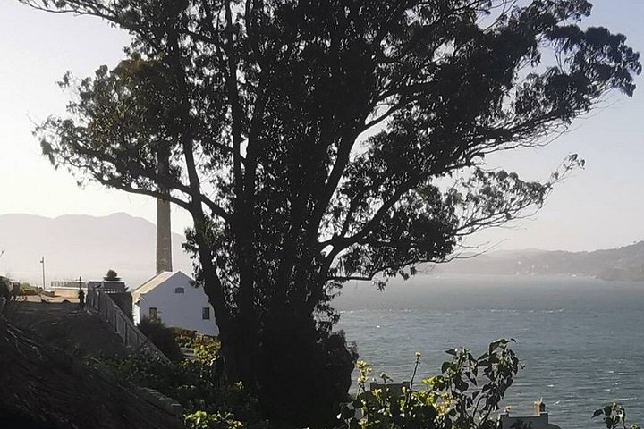 Utforska Alcatraz Island och San Franciscos ikoniska landmärken på denna omfattande tur, foto 15 | wizardtrip