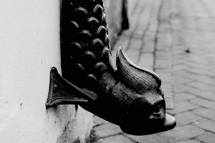 Nachtelijke spookwandeling in de historische wijk van Savannah, met bezoeken aan spookachtige locaties en begraafplaatsen, foto 26 | wizardtrip