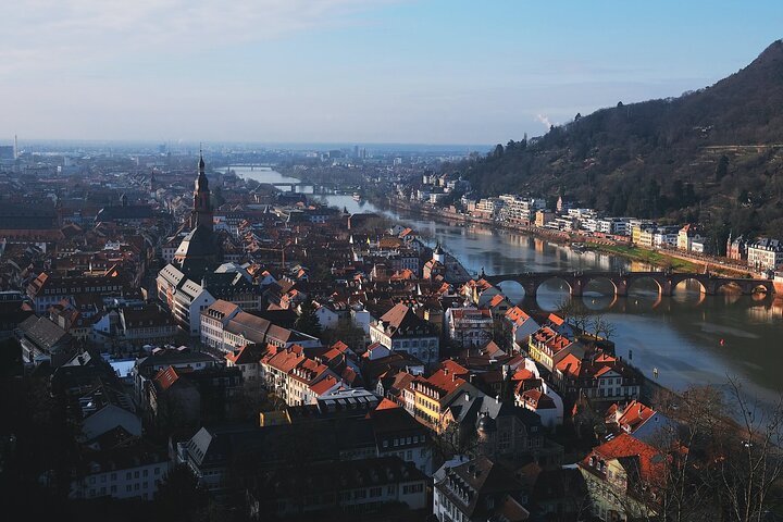 Excursion d'une journée au château de Heidelberg et dans la ville depuis Francfort, Allemagne, photo 6 | wizardtrip