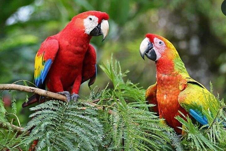 Honduras | wizardtrip