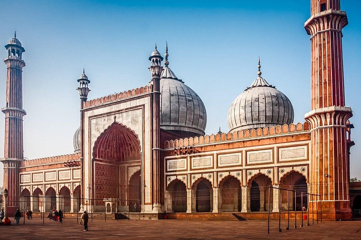 Utforska historiska platser och livliga marknader på en guidad tur i Gamla och Nya Delhi, foto 29 | wizardtrip
