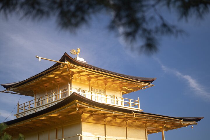 Guidet tidlig morgentur til Kyotos Fushimi Inari Shrine, Arashiyama bambusskog og Kinkakuji, foto 8 | wizardtrip