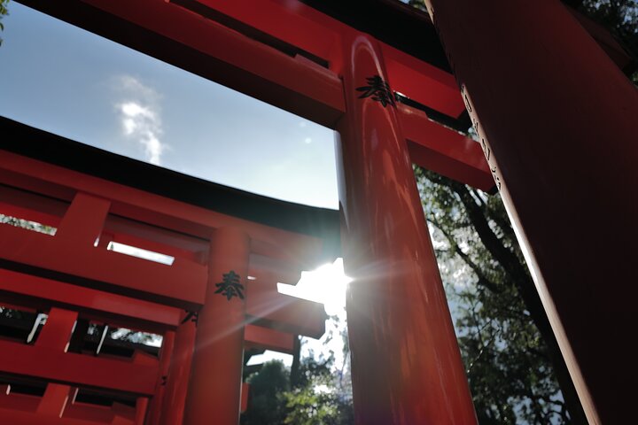 Guidet tidlig morgentur til Kyotos Fushimi Inari Shrine, Arashiyama bambusskog og Kinkakuji, foto 10 | wizardtrip