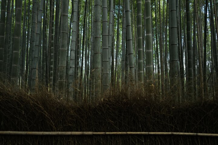 Guidet tidlig morgentur til Kyotos Fushimi Inari Shrine, Arashiyama bambusskog og Kinkakuji, foto 22 | wizardtrip