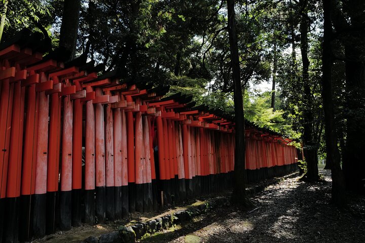 Guidet tidlig morgentur til Kyotos Fushimi Inari Shrine, Arashiyama bambusskog og Kinkakuji, foto 26 | wizardtrip