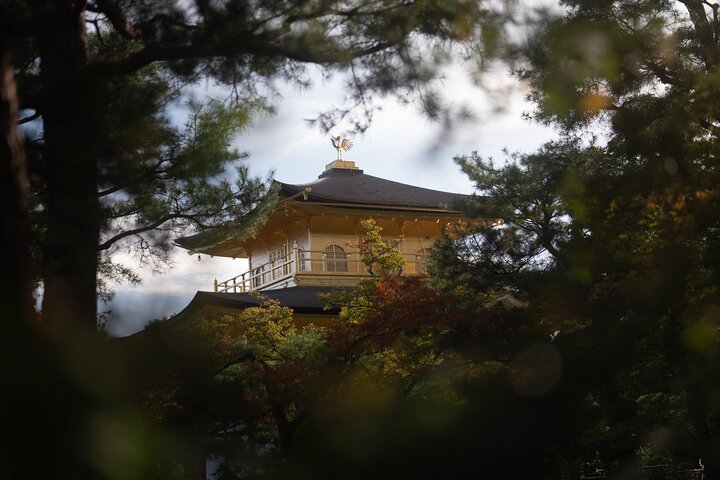 Guidet tidlig morgentur til Kyotos Fushimi Inari Shrine, Arashiyama bambusskog og Kinkakuji, foto 28 | wizardtrip