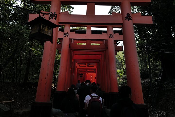 Guidet tidlig morgentur til Kyotos Fushimi Inari Shrine, Arashiyama bambusskog og Kinkakuji, foto 29 | wizardtrip