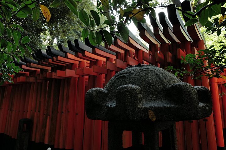 Guidet tidlig morgentur til Kyotos Fushimi Inari Shrine, Arashiyama bambusskog og Kinkakuji, foto 38 | wizardtrip