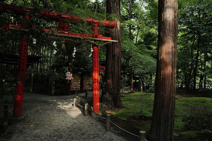 Guidet tidlig morgentur til Kyotos Fushimi Inari Shrine, Arashiyama bambusskog og Kinkakuji, foto 39 | wizardtrip