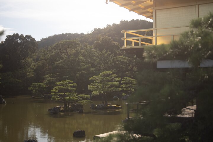 Guidet tidlig morgentur til Kyotos Fushimi Inari Shrine, Arashiyama bambusskog og Kinkakuji, foto 46 | wizardtrip