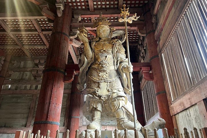 Früher Morgenrundgang durch Naras historische Tempel und den Wildpark, Foto 10 | wizardtrip