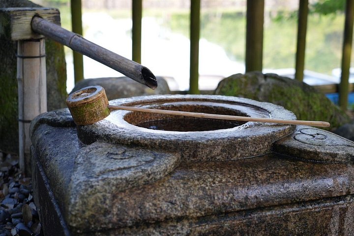 Früher Morgenrundgang durch Naras historische Tempel und den Wildpark, Foto 20 | wizardtrip