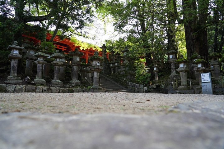 Früher Morgenrundgang durch Naras historische Tempel und den Wildpark, Foto 21 | wizardtrip
