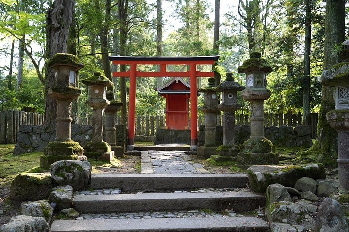 Früher Morgenrundgang durch Naras historische Tempel und den Wildpark, Foto 22 | wizardtrip
