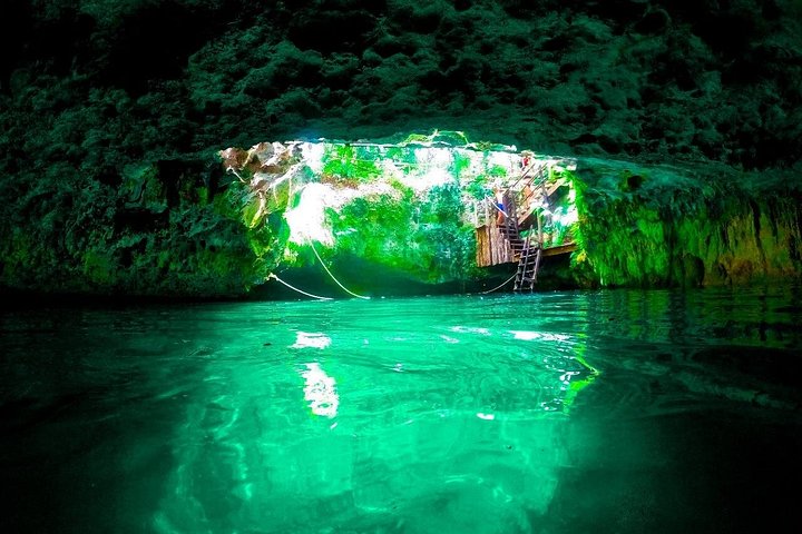 Erkunden Sie drei versteckte Cenoten in Cancun mit Schwimmen, Ziplining und Tequila-Verkostung, Foto 9 | wizardtrip