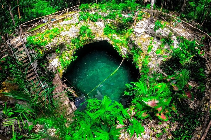 Erkunden Sie drei versteckte Cenoten in Cancun mit Schwimmen, Ziplining und Tequila-Verkostung, Foto 10 | wizardtrip