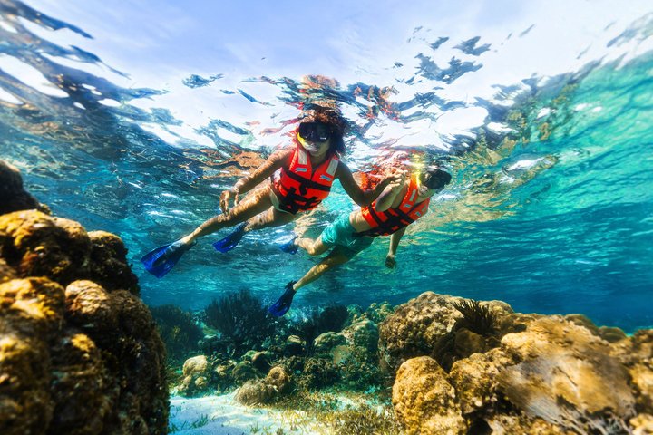 Plongée avec tuba dans le parc national avec Beach Club & Déjeuner | wizardtrip