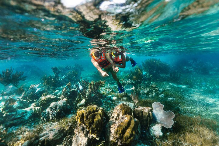 Snorkleeventyr ved det store Maya-revet nær Cancun, Mexico, foto 8 | wizardtrip
