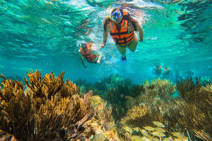 Snorkleeventyr ved det store Maya-revet nær Cancun, Mexico, foto 17 | wizardtrip