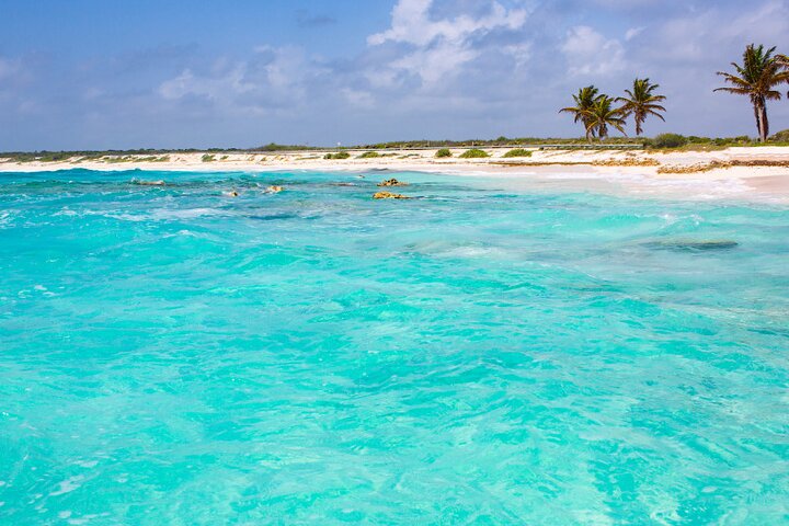 Private Jeep-Tour zur Erkundung der Naturwunder von Cozumel, einschließlich Jade Cavern, El Mirador und Schnorchelplätzen, Foto 10 | wizardtrip
