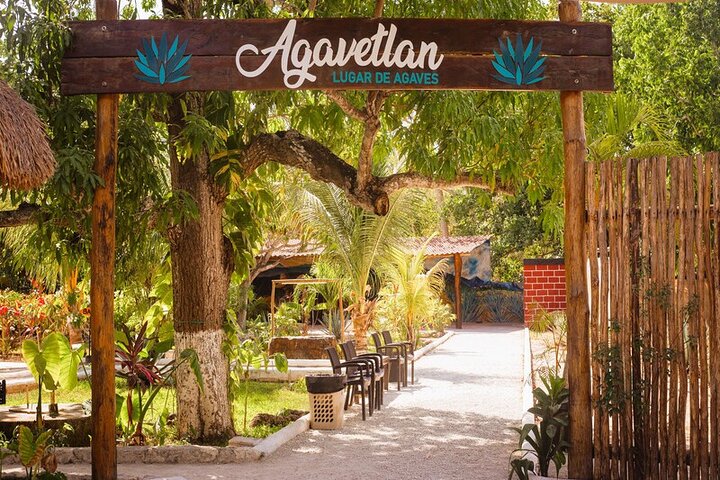Private Jeep-Tour zur Erkundung der Naturwunder von Cozumel, einschließlich Jade Cavern, El Mirador und Schnorchelplätzen, Foto 11 | wizardtrip