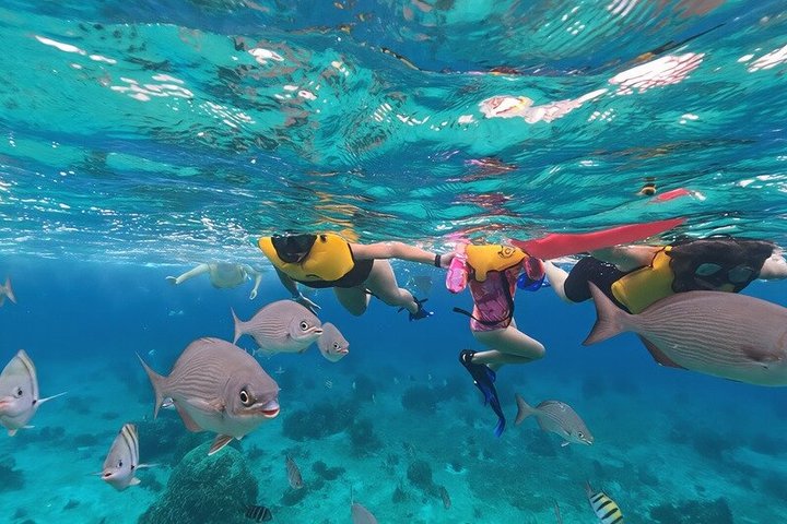 Private Jeep-Tour zur Erkundung der Naturwunder von Cozumel, einschließlich Jade Cavern, El Mirador und Schnorchelplätzen, Foto 25 | wizardtrip