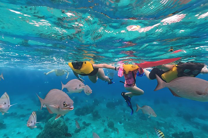 Aventure en VTT, baignade en cénote, snorkeling et détente à la plage à Cozumel, Mexique, photo 10 | wizardtrip