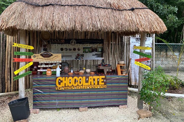 Aventure en VTT, baignade en cénote, snorkeling et détente à la plage à Cozumel, Mexique, photo 17 | wizardtrip