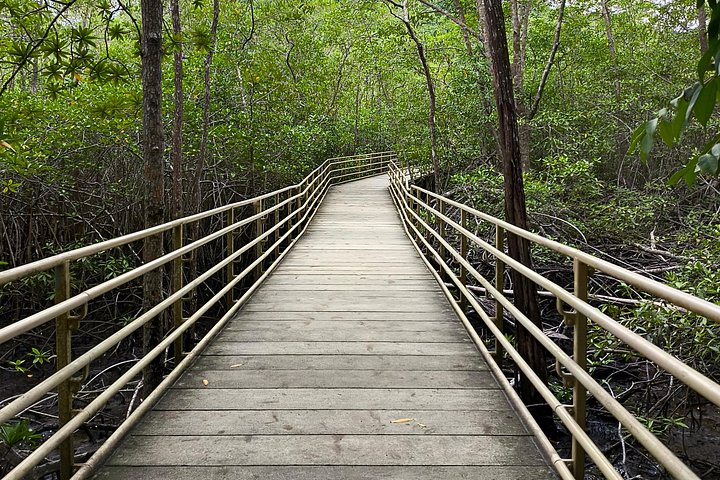 Guidet dyrelivstur i Manuel Antonio Nationalpark, Costa Rica, med dovendyr, aber og smukke strande, foto 34 | wizardtrip