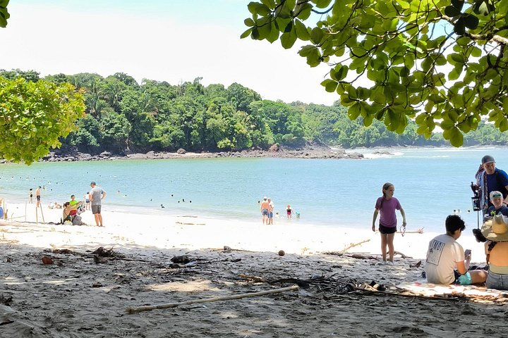Guidet dyrelivstur i Manuel Antonio Nationalpark, Costa Rica, med dovendyr, aber og smukke strande, foto 35 | wizardtrip
