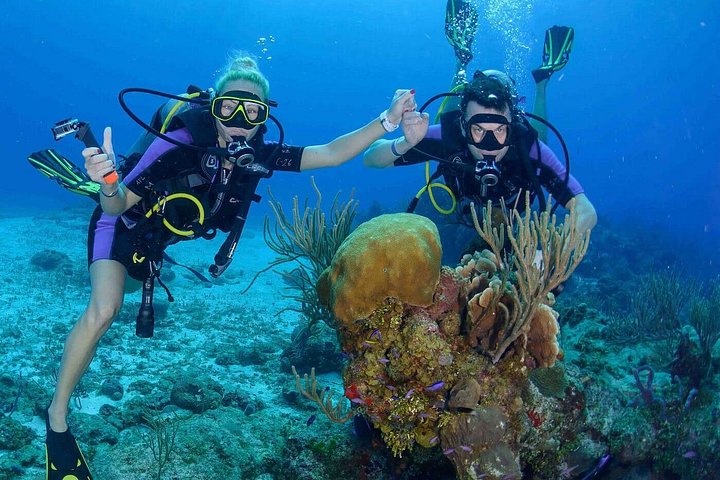 Snorklingseventyr ved Cham Island, Vietnam, udforskning af levende koralrev og havliv, foto 10 | wizardtrip
