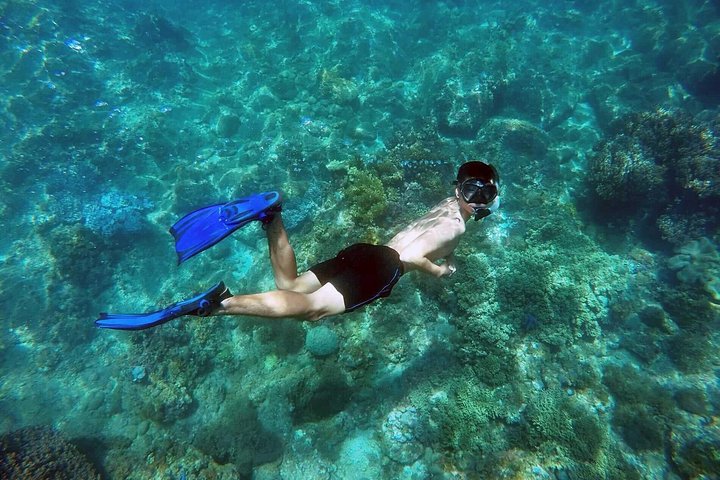 Snorklingseventyr ved Cham Island, Vietnam, udforskning af levende koralrev og havliv, foto 11 | wizardtrip