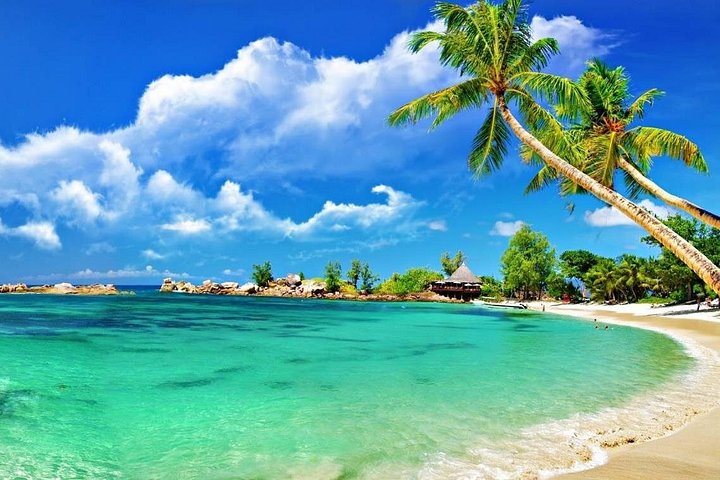 Snorklingseventyr ved Cham Island, Vietnam, udforskning af levende koralrev og havliv, foto 13 | wizardtrip