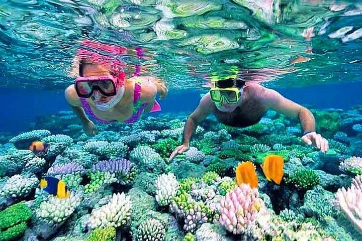 Snorklingseventyr ved Cham Island, Vietnam, udforskning af levende koralrev og havliv, foto 15 | wizardtrip