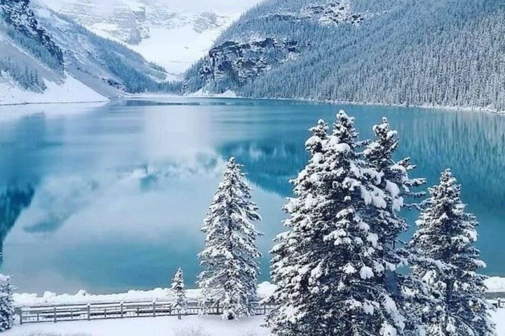 Tour panorámico por las cascadas, lagos y miradores icónicos del Parque Nacional de Banff, foto 20 | wizardtrip