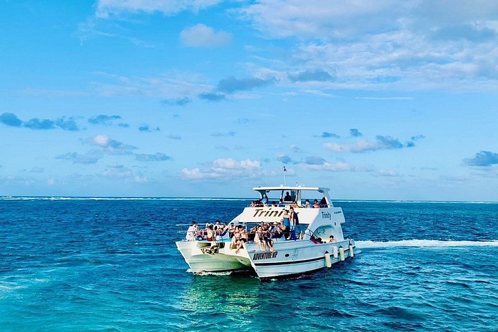 Privat katamaran cruise i Punta Cana med snorkling, delfinsafari og frokost, foto 16 | wizardtrip