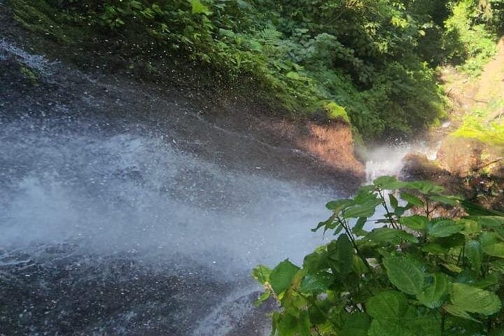 Experience thrilling waterfall rappelling and canyoning adventure in the lush rainforest near Arenal Volcano, Costa Rica, photo 17 | wizardtrip