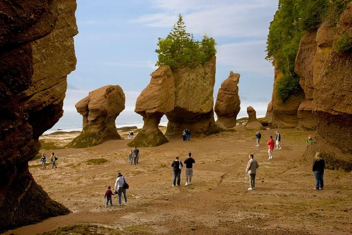 Hopewell Rocks Eintrittspreise | wizardtrip