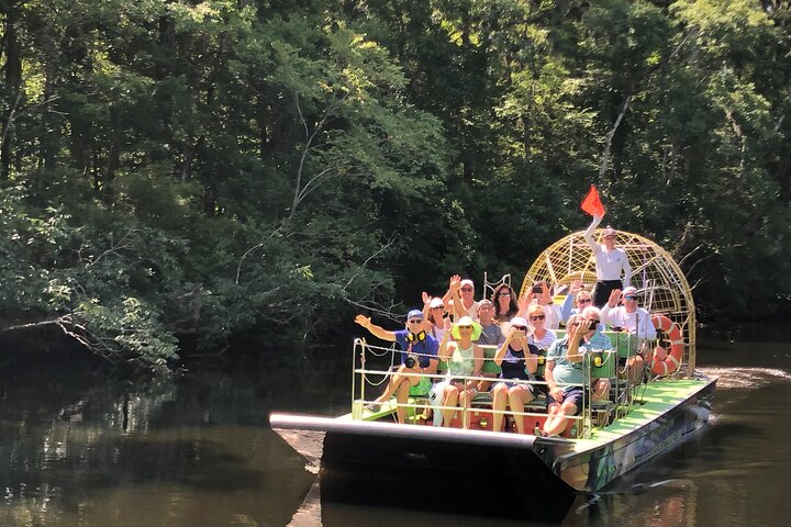 Thrilling airboat adventure on the St. Johns River in St. Augustine, Florida, spotting wildlife, photo 8 | wizardtrip