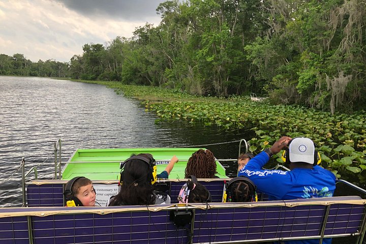 Thrilling airboat adventure on the St. Johns River in St. Augustine, Florida, spotting wildlife, photo 10 | wizardtrip