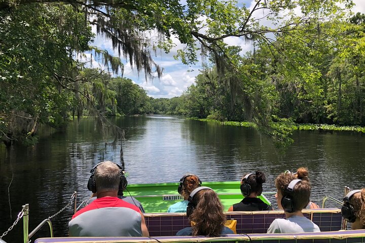 Thrilling airboat adventure on the St. Johns River in St. Augustine, Florida, spotting wildlife, photo 14 | wizardtrip