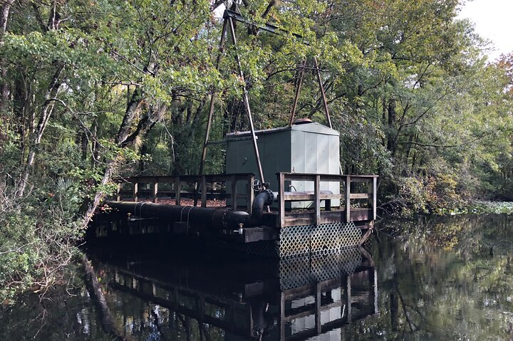 Thrilling airboat adventure on the St. Johns River in St. Augustine, Florida, spotting wildlife, photo 15 | wizardtrip